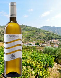 Verdejo white wine
